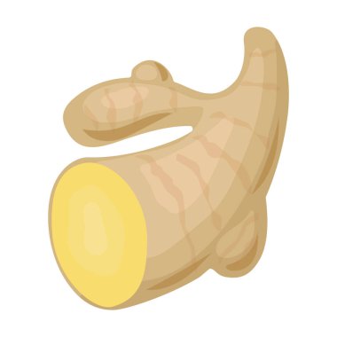 Ginger vektör simgesi. Çizgi film vektör simgesi beyaz arkaplan zencefilinde izole edildi.