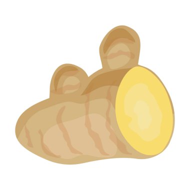 Ginger vektör simgesi. Çizgi film vektör simgesi beyaz arkaplan zencefilinde izole edildi.