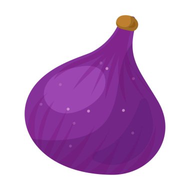 İncir vektör simgesi. Beyaz arkaplan incirinde karikatür vektör simgesi izole edildi.