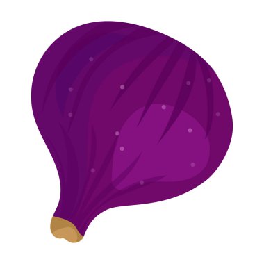 İncir vektör simgesi. Beyaz arkaplan incirinde karikatür vektör simgesi izole edildi.