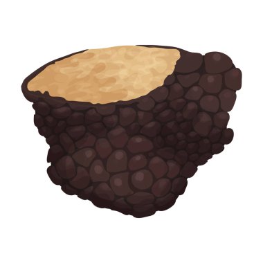 Yer mantarı vektör simgesi. Çizgi film vektör simgesi beyaz arkaplan mantarı üzerinde izole edildi.