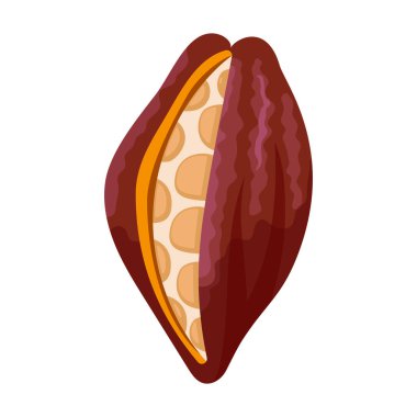 Kakao çekirdeği izole çizgi film çizim ikonu. Beyaz arka planda vektör illüstrasyon çikolatalı meyve. Vektör karikatür simgesi kakao çekirdeği.