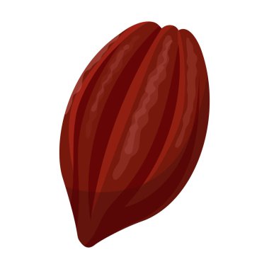Kakao çekirdeği izole çizgi film çizim ikonu. Beyaz arka planda vektör illüstrasyon çikolatalı meyve. Vektör karikatür simgesi kakao çekirdeği.