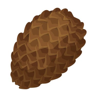 Koni çamı izole çizgi film ikonu. Beyaz arka planda vektör illüstrasyon çam kozalağı. Vektör çizgi film illüstrasyon simgesi koni çamı.