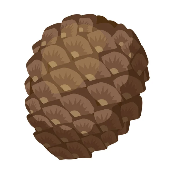 Cone pine isolated cartoon icon. Vector illustration spruce pinecone on white background. Vector cartoon illustration icon cone pine. — Stock Vector