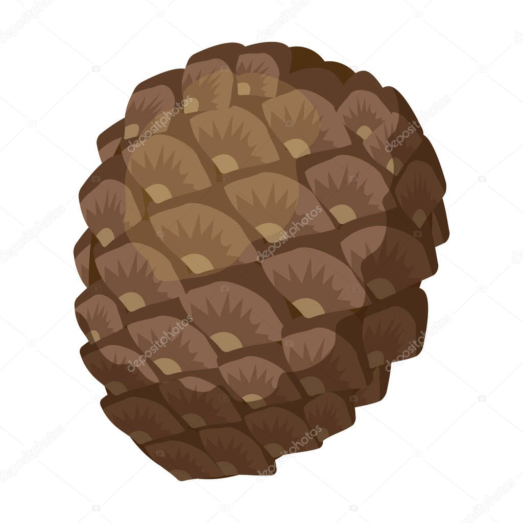 Cone pine isolated cartoon icon. Vector illustration spruce pinecone on white background. Vector cartoon illustration icon cone pine.