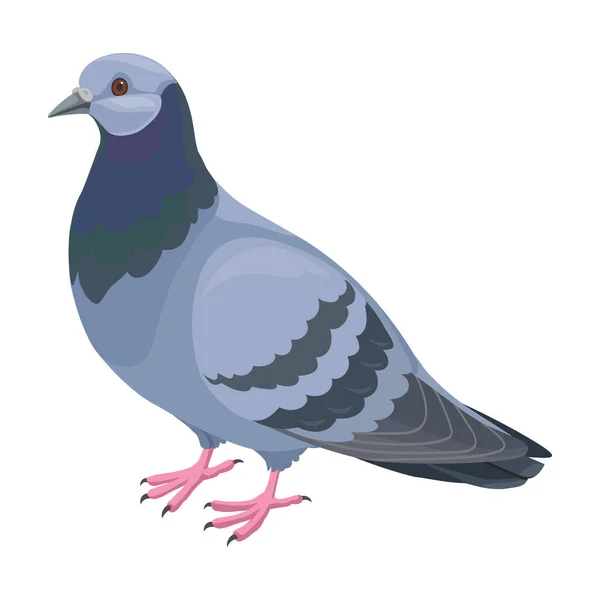 Icono de vector de paloma. Icono de vector de dibujos animados aislado en paloma de fondo blanco. — Archivo Imágenes Vectoriales
