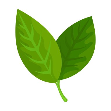 Limon vektörü simgesi. Çizgi film vektör simgesi beyaz arkaplan yaprağı üzerinde izole edilmiş..