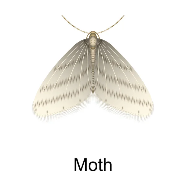白い背景に孤立した現実的なベクトルアイコン甲虫蛾. — ストックベクタ