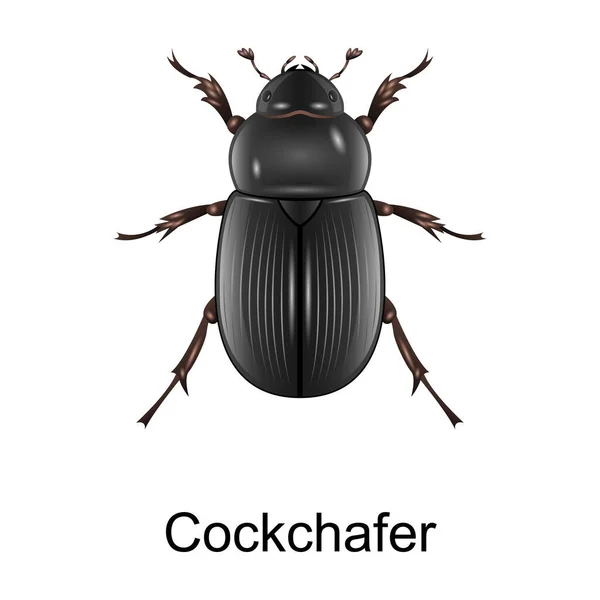 Ikona wektora chrząszcza (cockchafer vector) .Realistyczna ikona wektora izolowana na białym tle chrząszcza. — Wektor stockowy