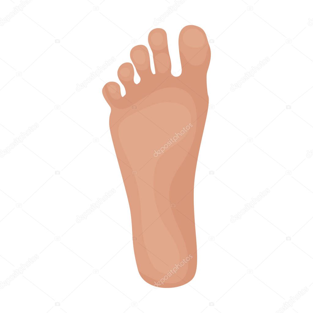 Footprint vector icon.Cartoon vector icon isolated on white background footprint.