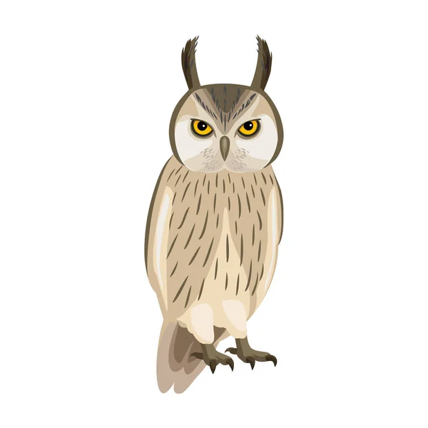 Κουκουβάγια απεικόνιση διάνυσμα πουλί της εικόνας. Εικονίδιο διάνυσμα της κουκουβάγιας. Μεμονωμένη απεικόνιση κινουμένων σχεδίων των πτηνών σε λευκό φόντο. — Διανυσματικό Αρχείο