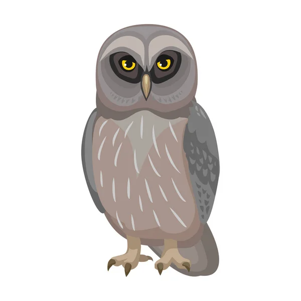 Hibou oiseau dessin animé vecteur illustration de l'icône. .Icône vectorielle de hibou animal. Illustration isolée de dessin animé d'un oiseau animal sur fond blanc. — Image vectorielle