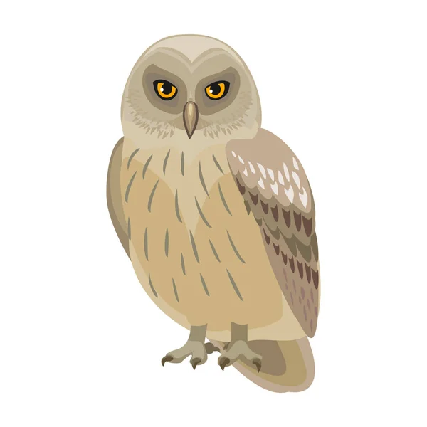 Κουκουβάγια απεικόνιση διάνυσμα πουλί της εικόνας. Εικονίδιο διάνυσμα της κουκουβάγιας. Μεμονωμένη απεικόνιση κινουμένων σχεδίων των πτηνών σε λευκό φόντο. — Διανυσματικό Αρχείο
