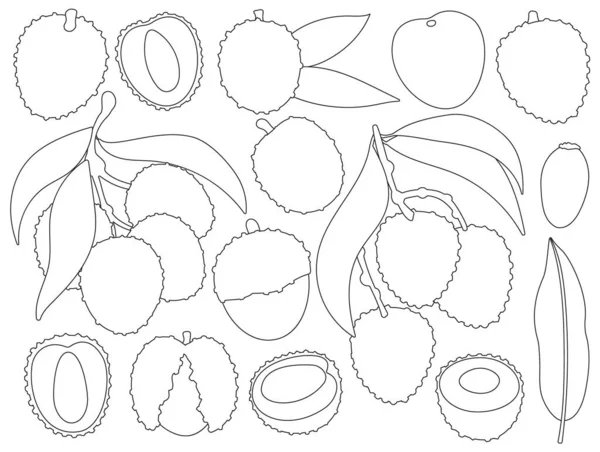 荔枝矢量轮廓设置图标.白色背景上的矢量插图荔枝。孤立的轮廓集图标荔枝. — 图库矢量图片