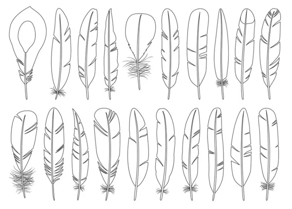 Feather of bird kontur vektor uppsättning illustration av ikon.Feather mönster vektor uppsättning ikoner.Ställ illustration penna fågel på vit bakgrund. — Stock vektor