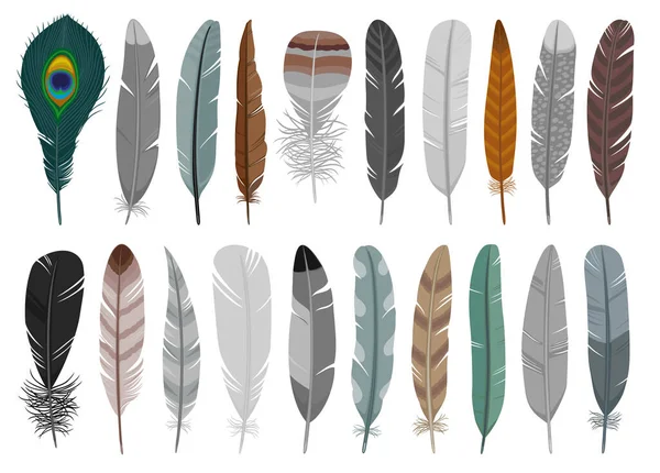 Piuma di uccello cartone animato vettoriale set illustrazione di icon.Feather modello vettoriale set di icon.Set penna illustrazione di uccello su sfondo bianco. — Vettoriale Stock