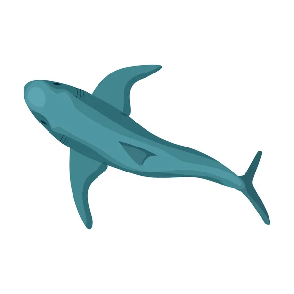 Icono de vector de dibujos animados de tiburón.Ilustración de vector de dibujos animados peces de mar. Ilustración aislada del icono de tiburón sobre fondo blanco. — Vector de stock