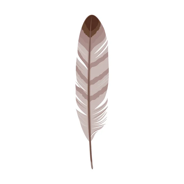 Feather of madár rajzfilm vektor ikon.Rajzfilm vektor illusztráció akvarell toll. Madárikon tollának elszigetelt illusztrációja fehér alapon. — Stock Vector