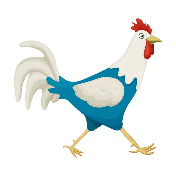 Cazzo di animale cartone animato vettore icon.Cartoon vettore illustrazione gallo. Illustrazione isolata dell'icona del gallo di gallo su sfondo bianco. — Vettoriale Stock