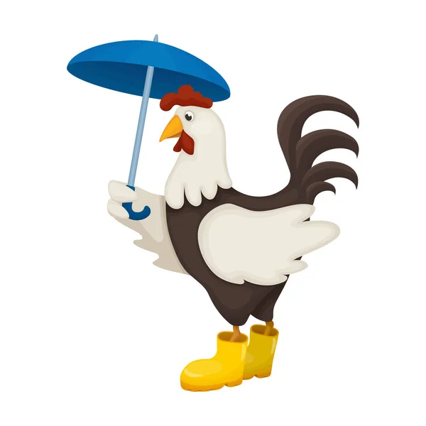 Gallo de animal de dibujos animados vector icon.Cartoon ilustración de vectores gallo. Ilustración aislada de gallo gallo icono sobre fondo blanco. — Vector de stock