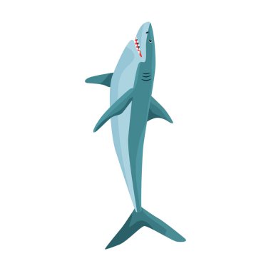 Köpekbalığı karikatür vektör simgesi. Karikatür vektör deniz balığı çizimi. Beyaz arkaplanda köpek balığı simgesinin izole bir çizimi.