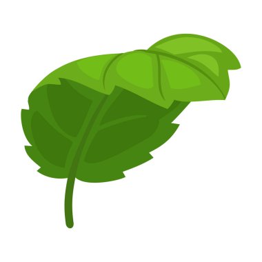 Nane yaprağı karikatür vektör simgesi. Karikatür vektör çizimi taze nane şekeri. Beyaz arkaplandaki nane yaprağı simgesinin izole edilmiş çizimi.