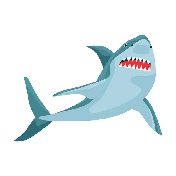 Shark cartoon vector icon.Cartoon vector illustration fish of sea. Isolated illustration of shark icon on white background. — Stock Vector