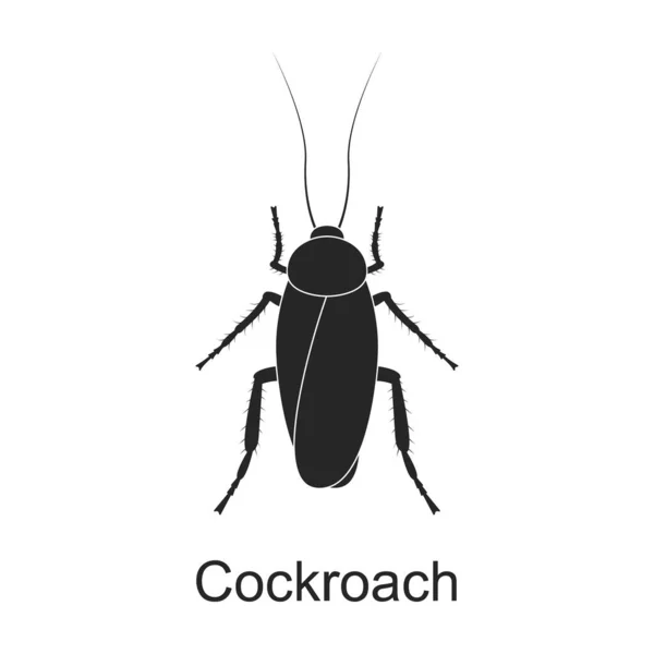 Kakerlaken Vektor schwarzes Symbol. Vektor Illustration Schädling Insektenschabe auf weißem Hintergrund. Isolierte schwarze Illustration Symbol von Schädling. — Stockvektor