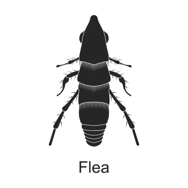 Loppvektor svart ikon. Vektor illustration skadedjur insekt loppa på vit bakgrund. Isolerad svart illustration ikon av skadedjur insekt. — Stock vektor