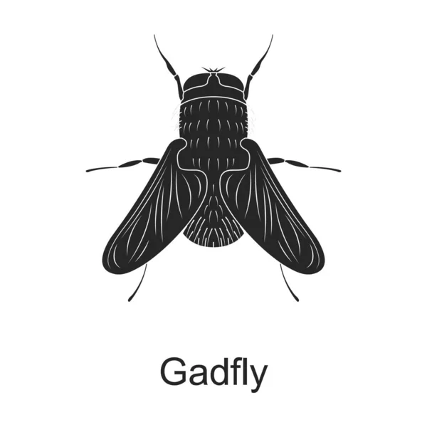 Gadfly vector icono negro. Ilustración vectorial plaga mosca insecto, sobre fondo blanco. Icono de ilustración en negro aislado de insecto plaga. — Vector de stock