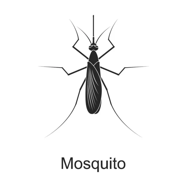 Mosquito vector icono negro. Ilustración vectorial mosquito insecto plaga sobre fondo blanco. Icono de ilustración en negro aislado de insecto plaga. — Vector de stock