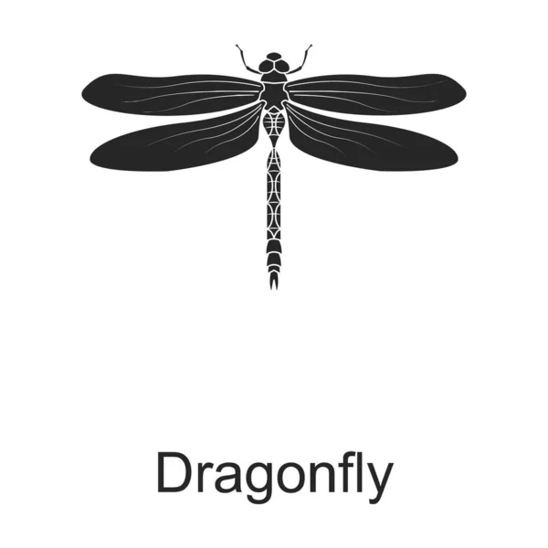 Dragonfly vector black icon. Vector illustration pest insec dragonfly on white background. Isolated black illustration icon of pest insect. — Stock Vector