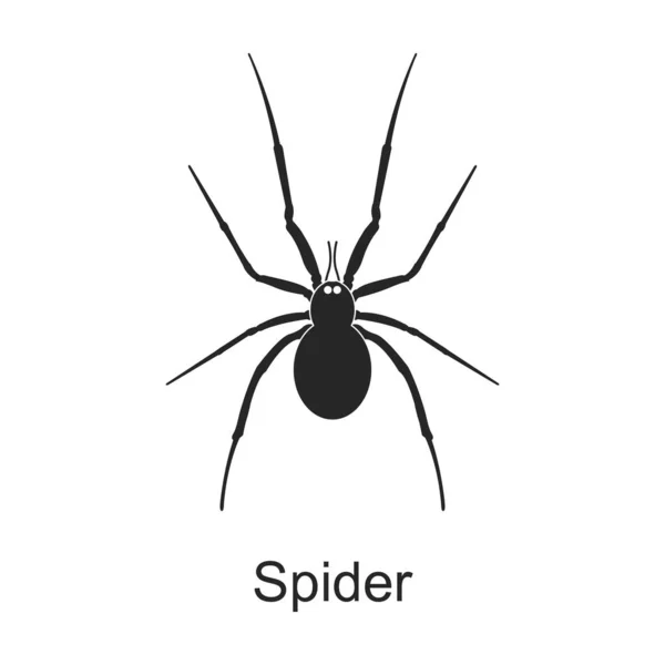 Spider vector icono negro. Ilustración vectorial plaga insecto araña sobre fondo blanco. Icono de ilustración en negro aislado de insecto plaga. — Vector de stock