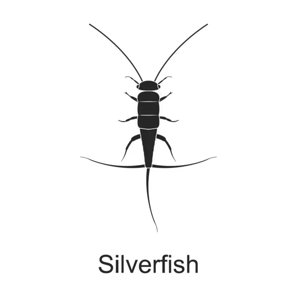 Ícone preto do vetor de peixe-prateado. Vetor ilustração praga inseto silverfish no fundo branco. Ícone de ilustração preto isolado de inseto praga. — Vetor de Stock