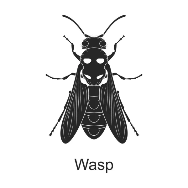 Wasp vector icono negro. Ilustración vectorial plaga avispa de insectos sobre fondo blanco. Icono de ilustración en negro aislado de insecto plaga. — Vector de stock