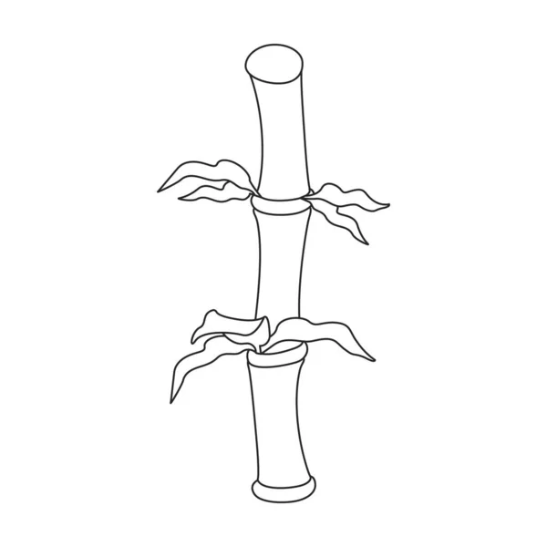 Icono de contorno de vector de bambú. Árbol de ilustración vectorial sobre fondo blanco. Icono de ilustración de contorno aislado de bambú. — Vector de stock