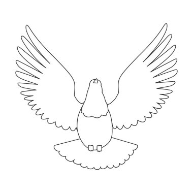 Dove vector outline icon. Vector illustration pigeon on white background. Isolated outline illustration icon of dove .