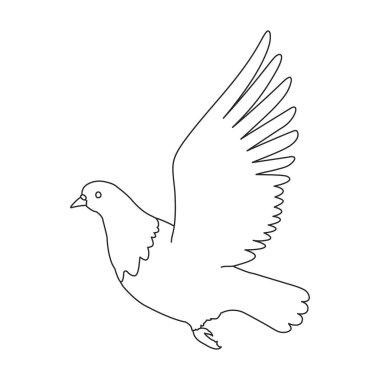 Dove vector outline icon. Vector illustration pigeon on white background. Isolated outline illustration icon of dove .