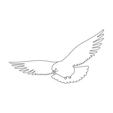 Dove vector outline icon. Vector illustration pigeon on white background. Isolated outline illustration icon of dove .