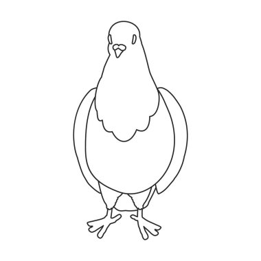 Dove vector outline icon. Vector illustration pigeon on white background. Isolated outline illustration icon of dove .