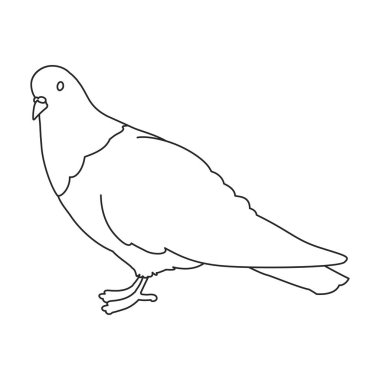 Dove vector outline icon. Vector illustration pigeon on white background. Isolated outline illustration icon of dove .