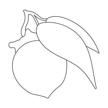 Flute vector outline icon. Vector illustration music instrument on white background. Isolated outline illustration icon of flute.