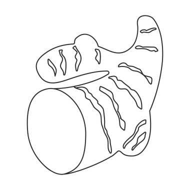 Ginger vector outline icon. Vector illustration root on white background. Isolated outline illustration icon of ginger .