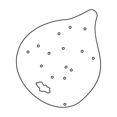 Fig vector outline icon. Vector illustration slice fruit on white background. Isolated outline illustration icon of fig.