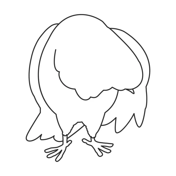 鸽子矢量轮廓图标.白色背景上的矢量画鸽.孤立的鸽子示意图 . — 图库矢量图片
