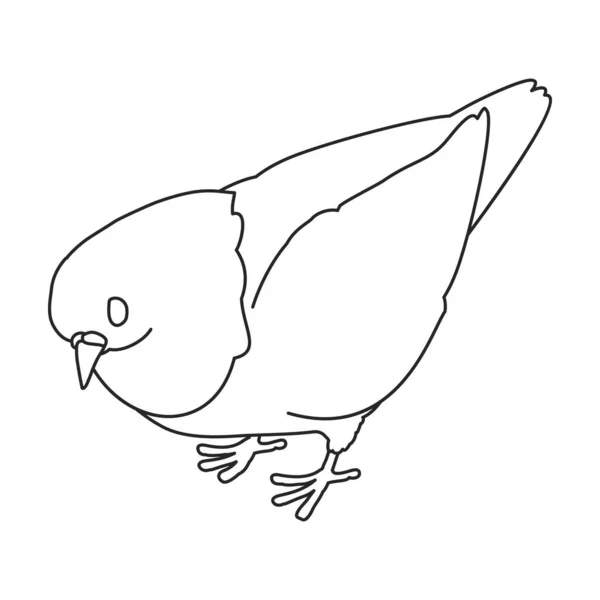 Paloma icono de contorno vectorial. Paloma de ilustración vectorial sobre fondo blanco. Icono de ilustración de esquema aislado de paloma . — Vector de stock