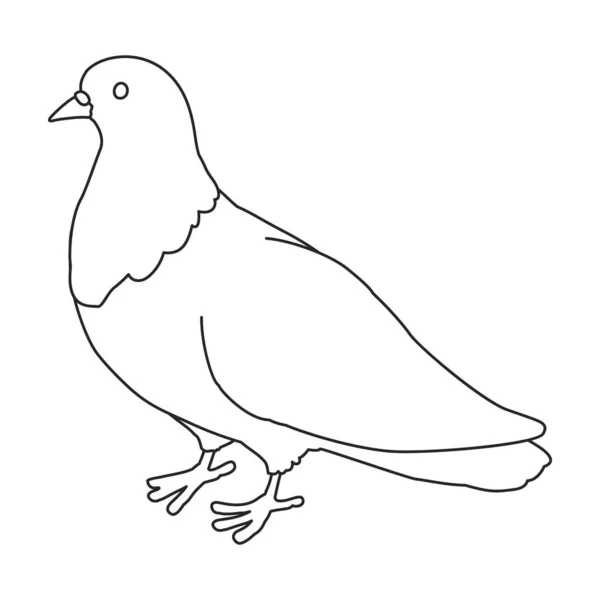 Dove vector outline icon. Vector illustration pigeon on white background. Isolated outline illustration icon of dove . — Image vectorielle