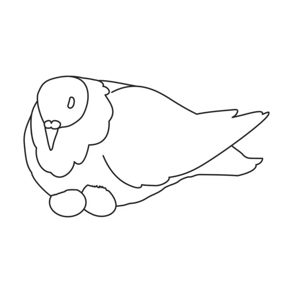 Ikona zarysu wektora gołębia. Wektor ilustracji gołąb na białym tle. Izolowany zarys ilustracji ikona gołębia . — Wektor stockowy