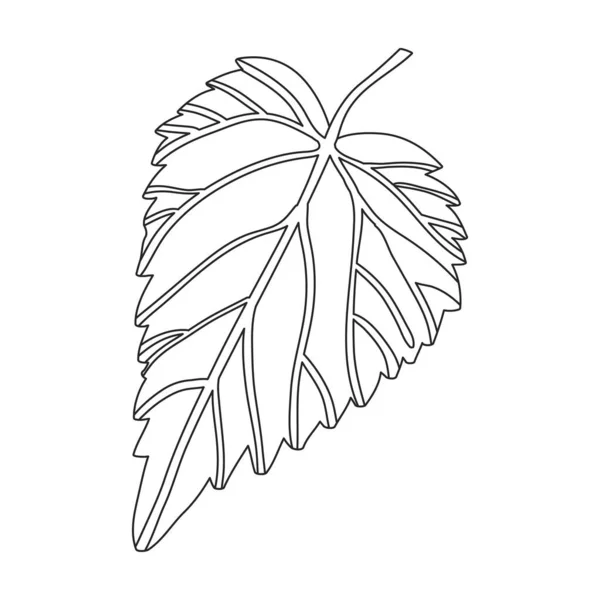 Hop planta vector contorno icono. Ilustración vectorial flor humulus sobre fondo blanco. Icono de ilustración de esquema aislado de planta de lúpulo. — Vector de stock